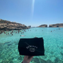 Quicke's Cool Bag